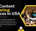 best seo content writing services provides in usa